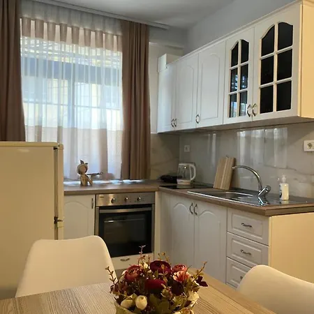 Apartment Sael Shkoder