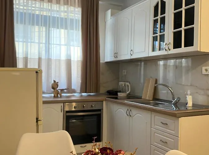 Apartament Sael Szkodra